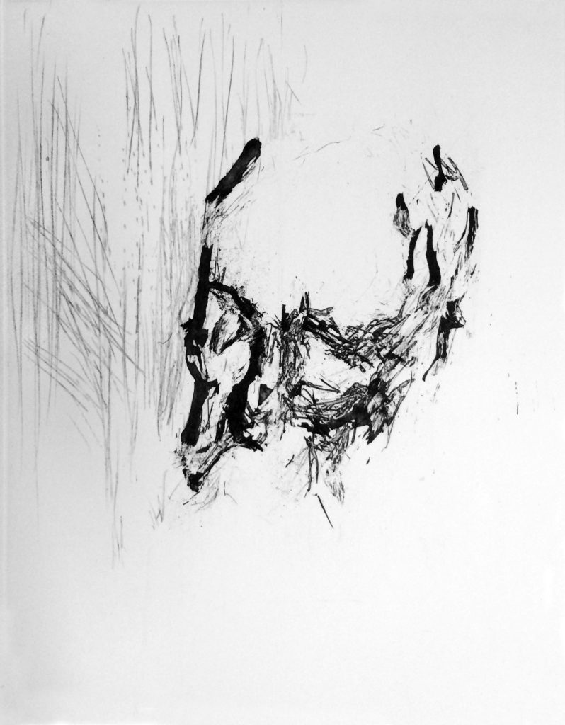oeuvre test